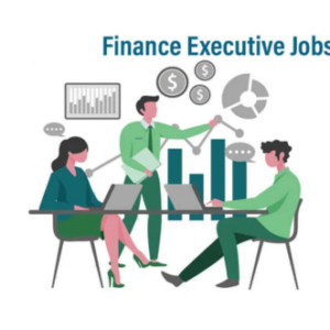 Finance Executive Jobs