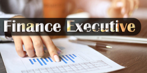 Finance-Executive